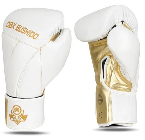 Boxerské rukavice DBX B-2v19
