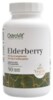 Elderberry extract vege 90 kapslí