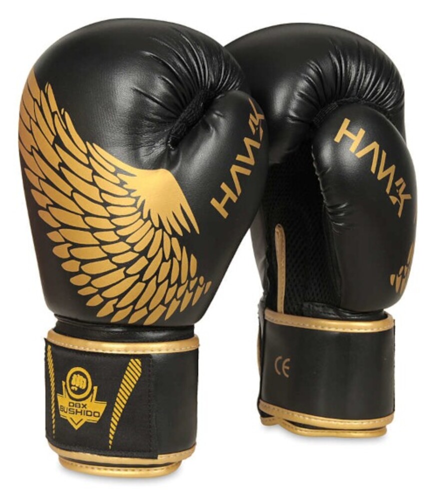 Boxerské rukavice DBX B-2v17