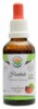 Haritaki AF tinktura 50 ml Terminalia chebula