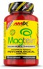 Magtein Magnesium L-threonate 90 kapslí