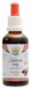 Kakaové boby AF tinktura 50ml Theobroma cacao