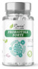 PROBIOTIKA FORTE 90 kapslí