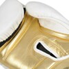 Boxerské rukavice DBX B-2v19