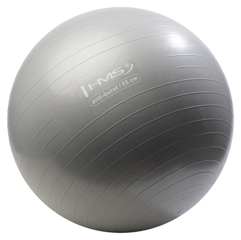Gymnastický míč YB02N 55 cm šedý