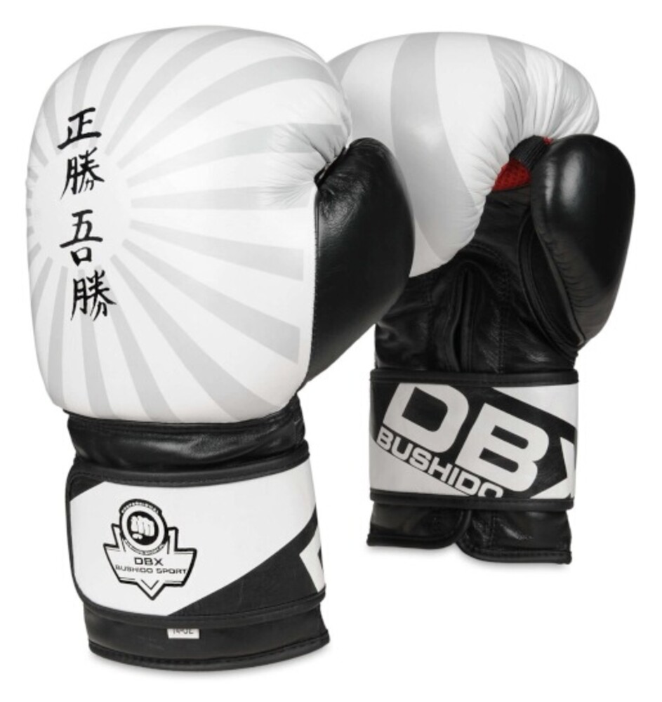 Boxerské rukavice DBX B-2v8