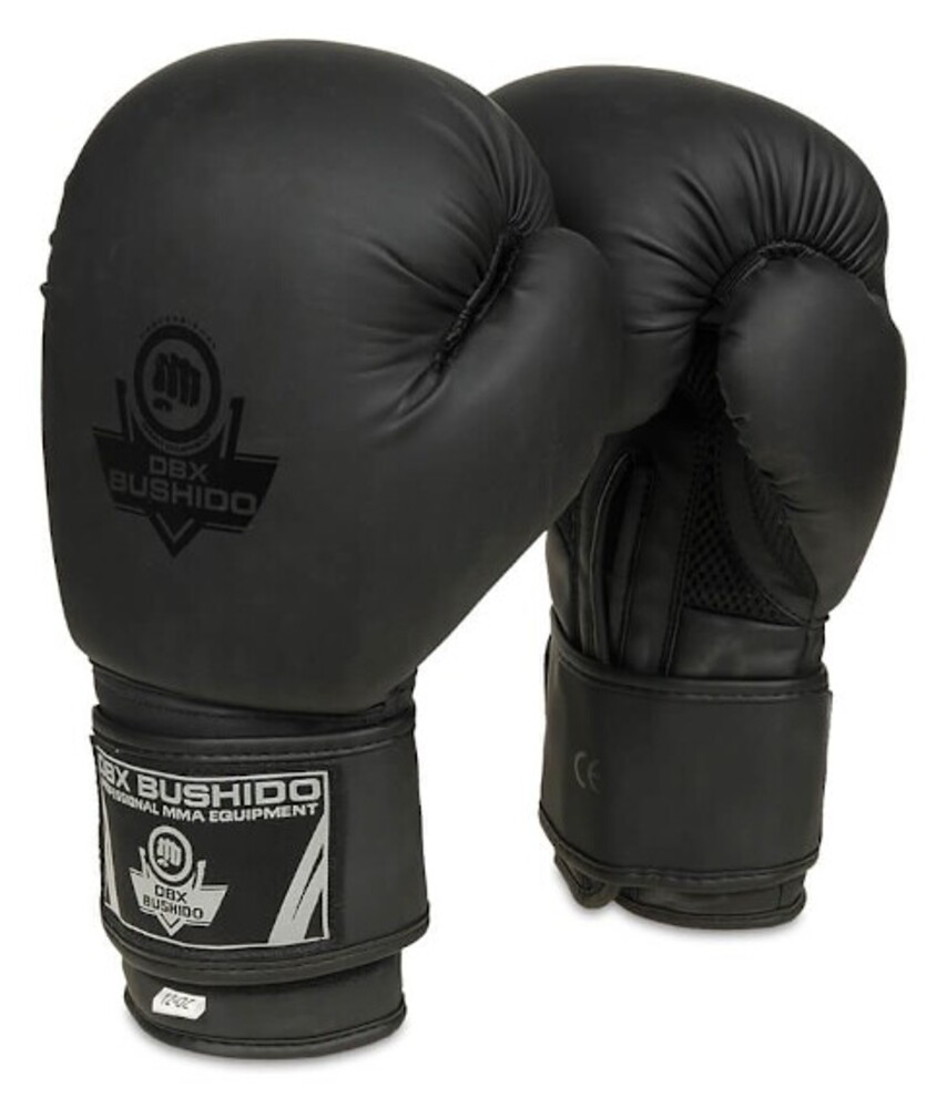 Boxerské rukavice DBX B-2v12