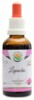 Lapacho AF tinktura 50ml Tabebuia impetiginosa