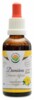 Damiána - Turnera diffusa AF tinktura 50ml