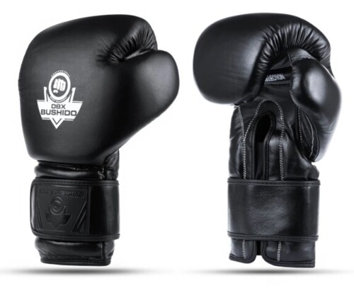 Boxerské rukavice DBX B-ProFight