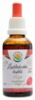 Lesklokorka lesklá Reishi AF tinktura 50ml Ganoderma lucidum