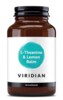 L-Theanine and Lemon Balm 90 kapslí (L-Theanin s meduňkou)