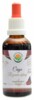 Čaga - rezavec šikmý AF tinktura 50ml Inonotus obliquus