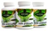 Saw Palmetto 45% mastných kyselin 300 kapslí