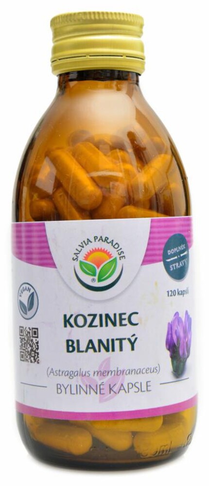 Kozinec blanitý 120 kapslí Astragalus membranaceus