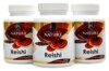 Reishi 30% polysacharidů 300 kapslí