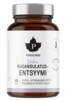 Super Digestive Enzymes 60 kapslí (Super trávicí enzymy) SK