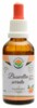 Boswellia serrata - kadidlovník AF tinktura 50 ml