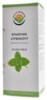 Rýmovník citronový DS sirup 180 ml Plectranthus amboinicus