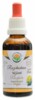 Rozchodnice růžová - Rhodiola AF tinktura 50ml
