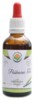 Puškvorec AF tinktura 50 ml Acorus Calamus