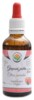 Grepová jádra AF tinktura 50 ml Citrus paradisi