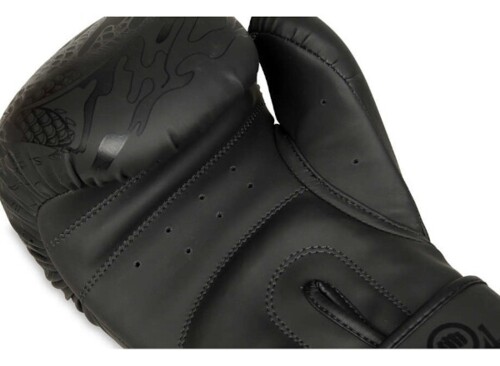 Boxerské rukavice DBX B-2v18