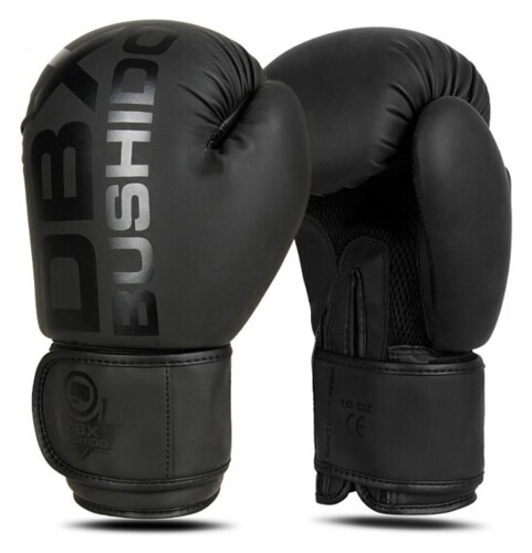 Boxerské rukavice DBX B-2v21