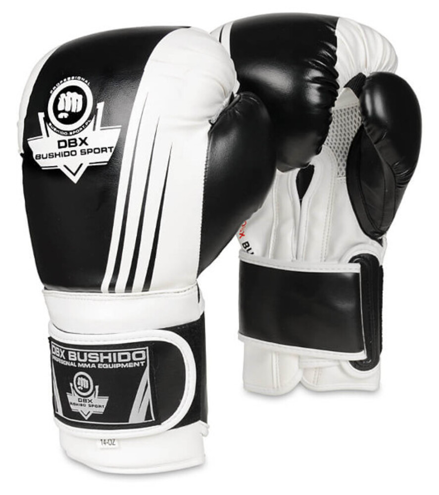 Boxerské rukavice DBX B-2v3A