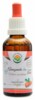 Ašvaganda - vitánie AF tinktura BIO 50 ml Withania somnifera Ashwaghanda