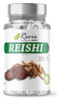 REISHI 90 kapslí