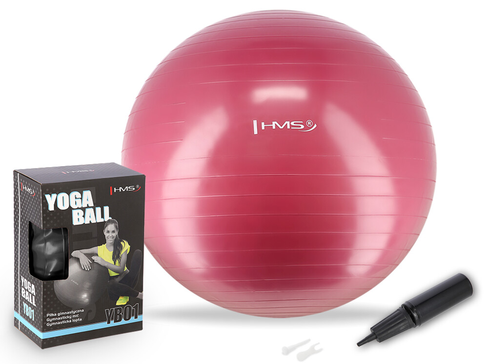 Gymnastický míč YB01N 65 cm švestkový