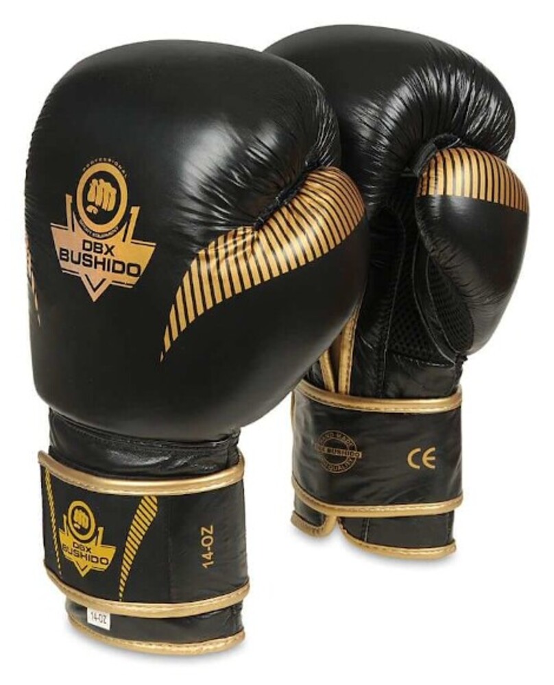 Boxerské rukavice DBX B-2v13