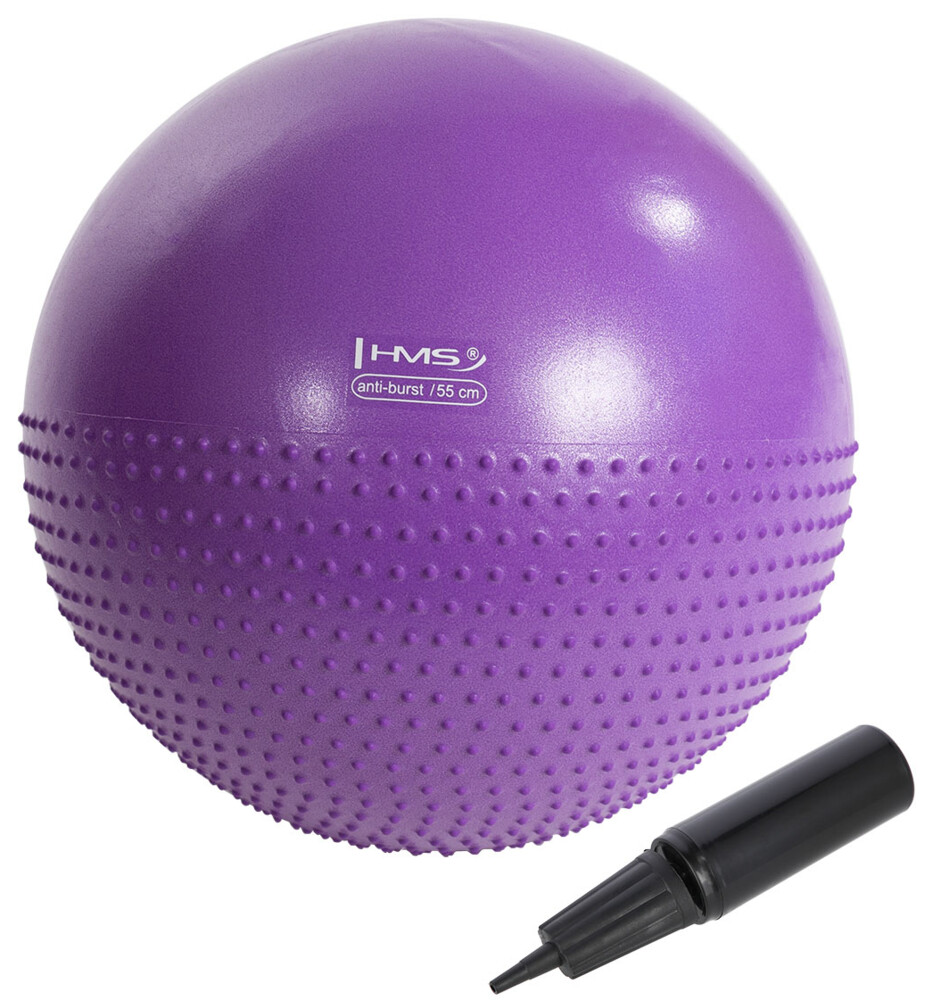 Masážní gymnastický míč YB03N 55 cm fialový