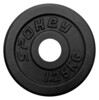 SINIS litinový kotouč 1.25kg otvor 29mm