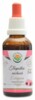 Echinacea - třapatka nachová AF tinktura 50ml Echinacea purpurea