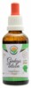 Ginkgo biloba AF tinktura 50ml