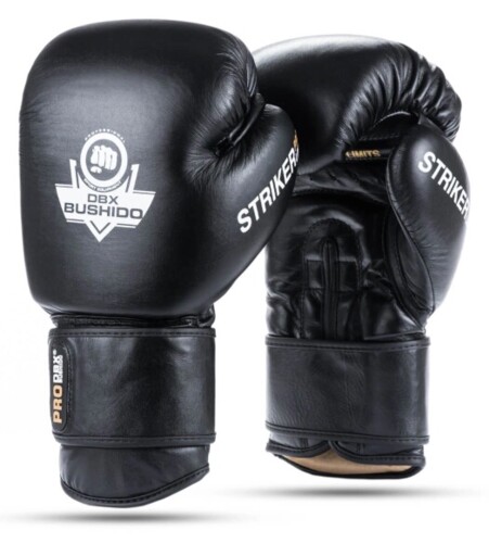 Boxerské rukavice DBX Striker