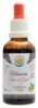 Vilcacora - Uňa de Gato AF tinktura 50ml Uncaria tomentosa