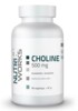 Choline 500 mg 90 kapslí
