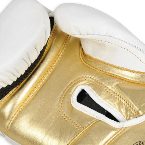 Boxerské rukavice DBX B-2v19