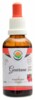 Guarana AF tinktura 50ml Paullinia cupana