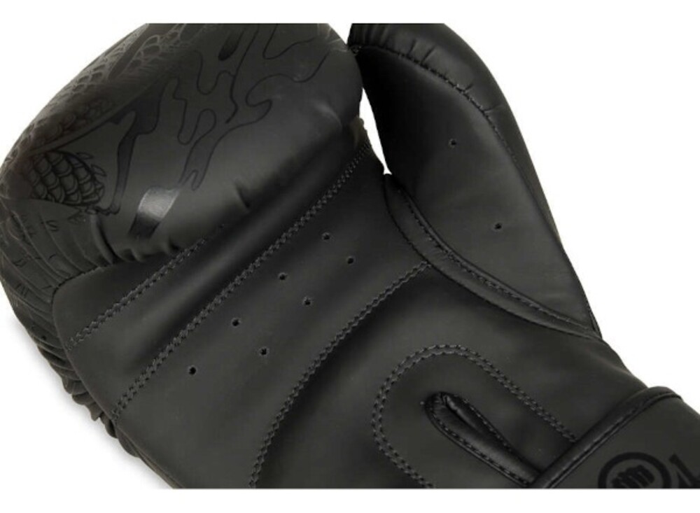 Boxerské rukavice DBX B-2v18