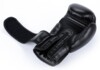 Boxerské rukavice DBX ARB-Black
