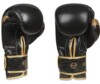 Boxerské rukavice DBX B-2v13