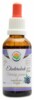 Eleuterokok AF tinktura 50ml Eleutherococcus senticosus