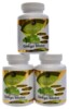 Ginkgo biloba extrakt 50:1 60mg 300 kapslí