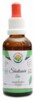 Šatavari - shatavari AF tinktura 50ml