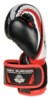 Boxerské rukavice DBX ARB407v2 6 oz