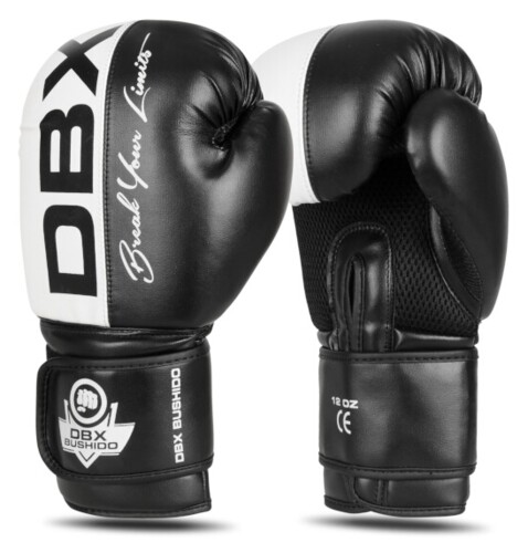 Boxerské rukavice DBX B-2v20